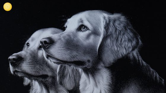 xTool Creative Space(04)